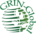 logo header